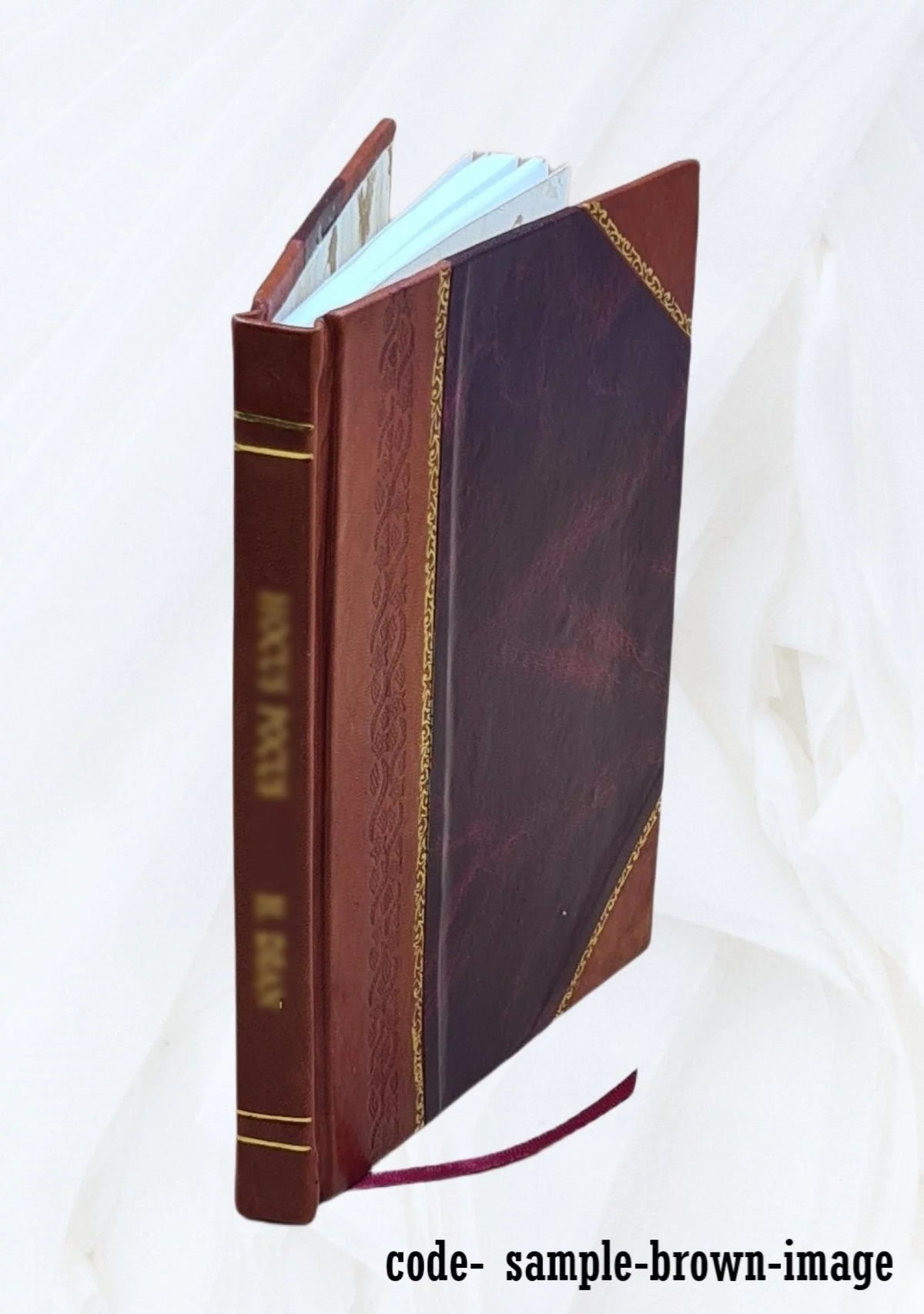 Leather Bound Book P63082