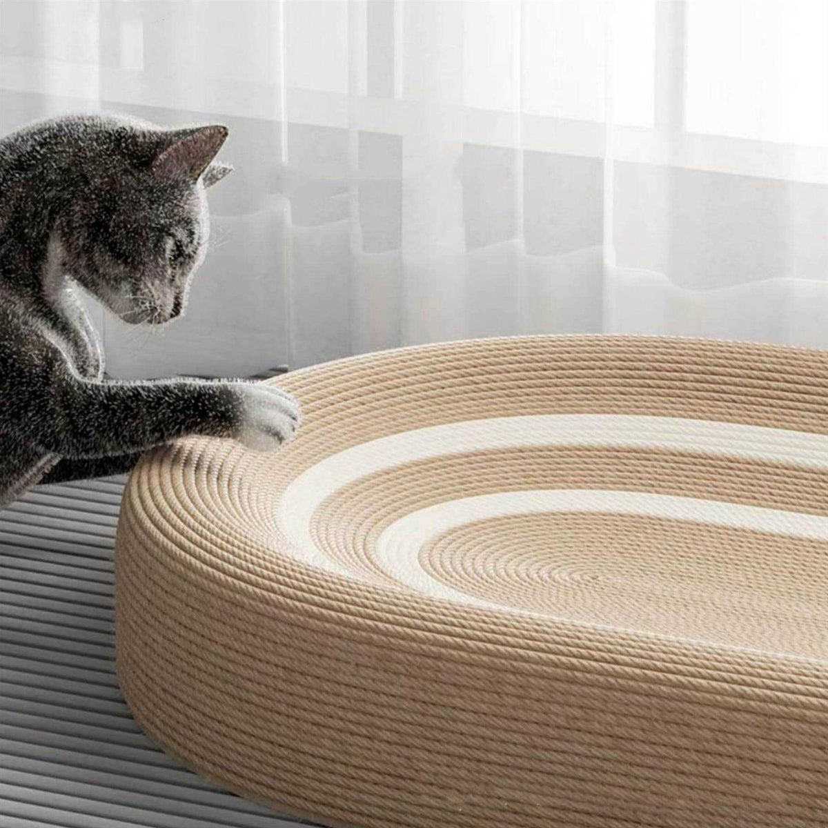 3 in 1 Cat Scratcher Bed Z9533