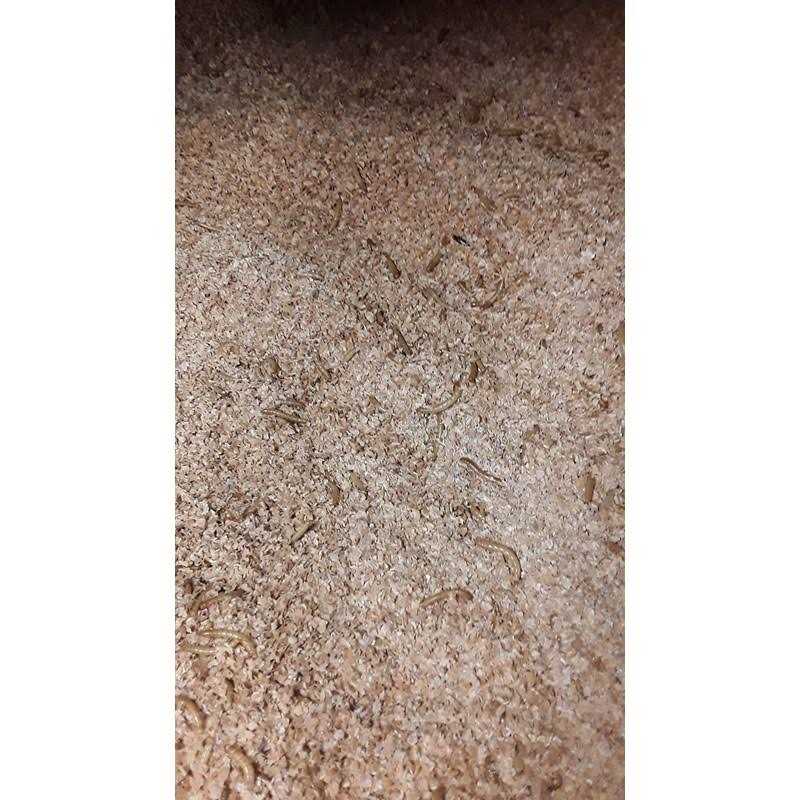 Mealworm and Superworm Bedding O427