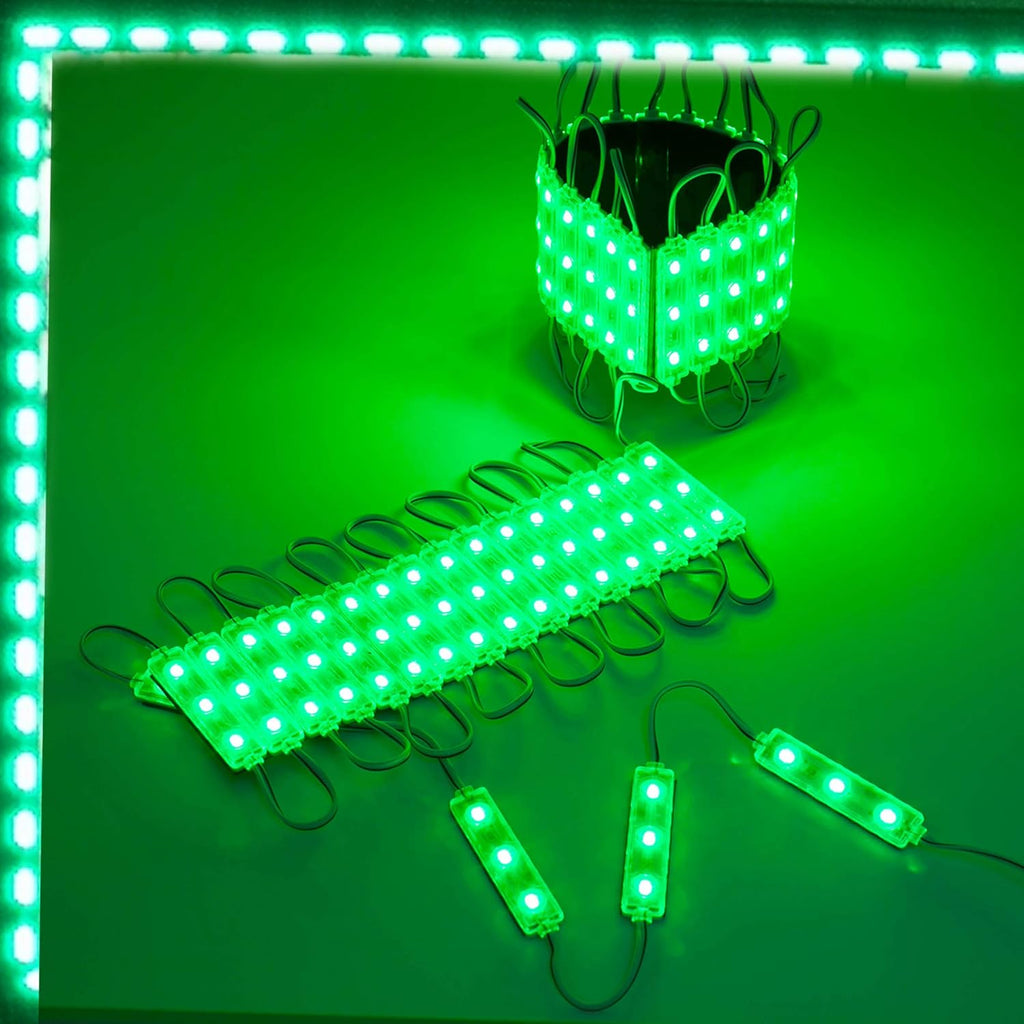 60 Green LED Light Module with 12v AC Power Package R202
