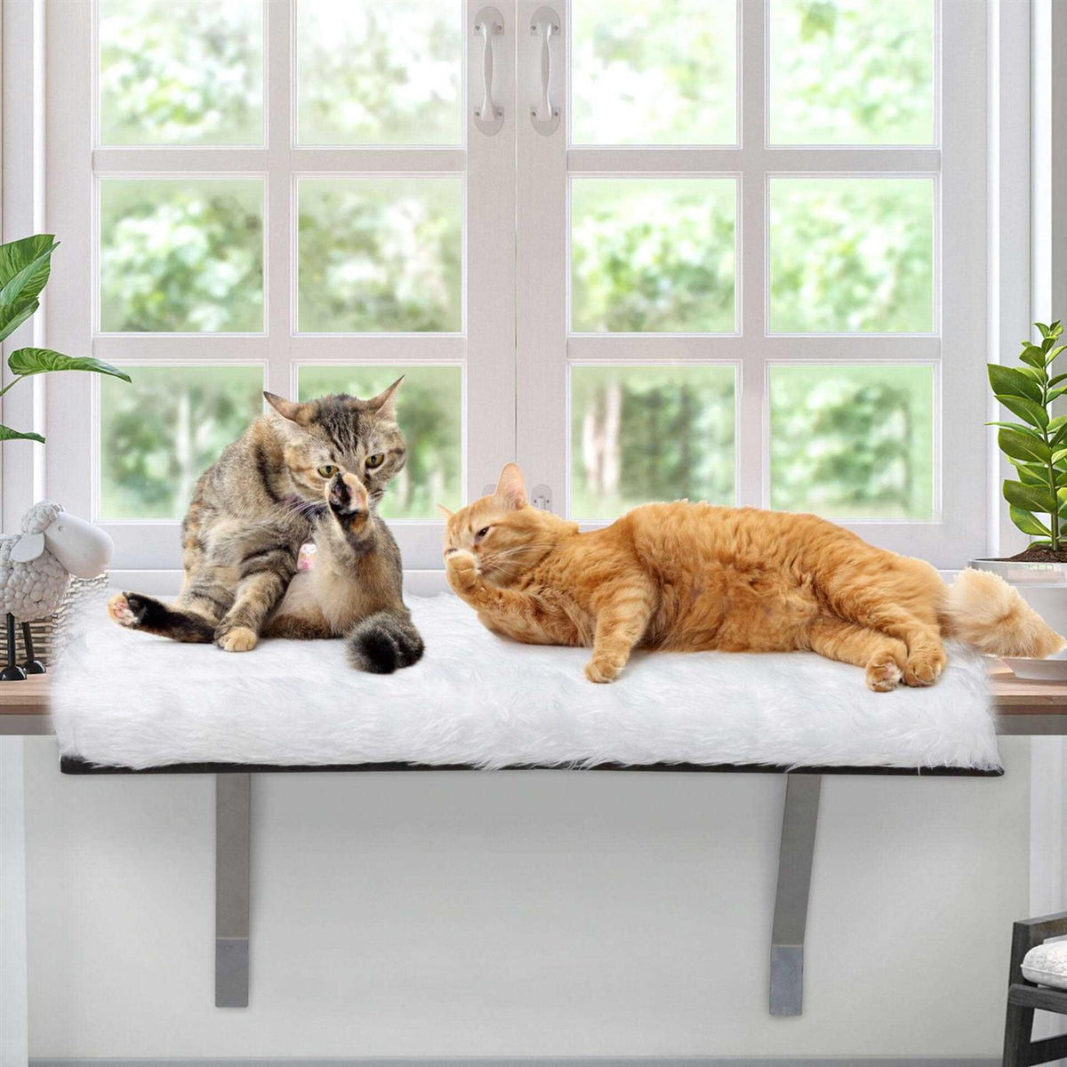 Cat Window Perch with Soft Cushion R95562