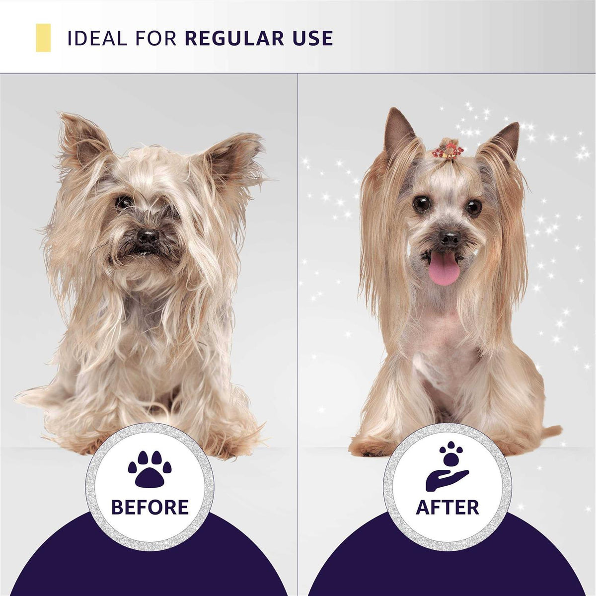 Cat and Dog Grooming Shampoo Conditioner and Sprays B66719