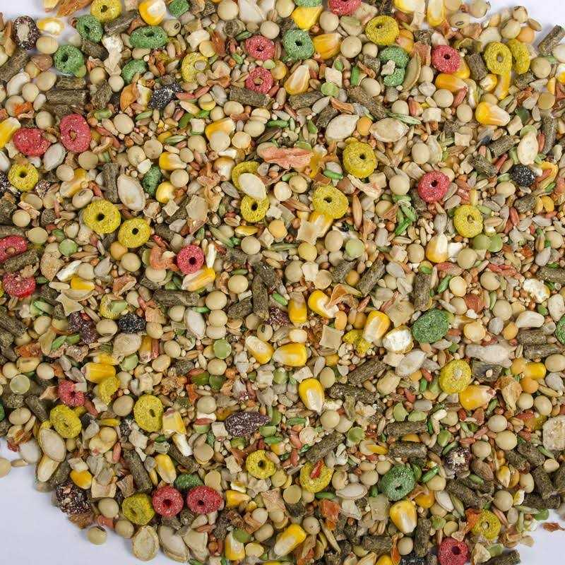 Hamster and Gerbil Advanced Nutrition Diet K8432