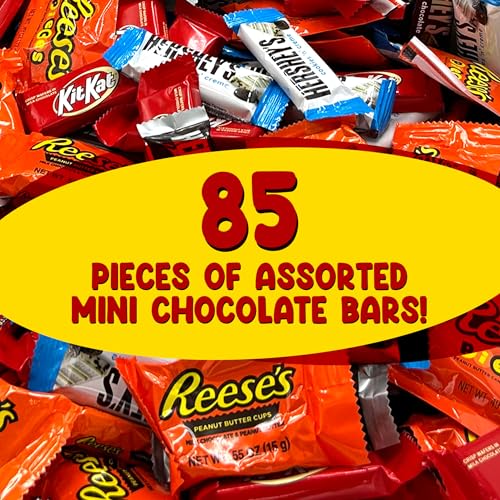 Bulk Chocolate Candy Mix Miniature Size - 5 Pounds Approx 210 pieces L164910