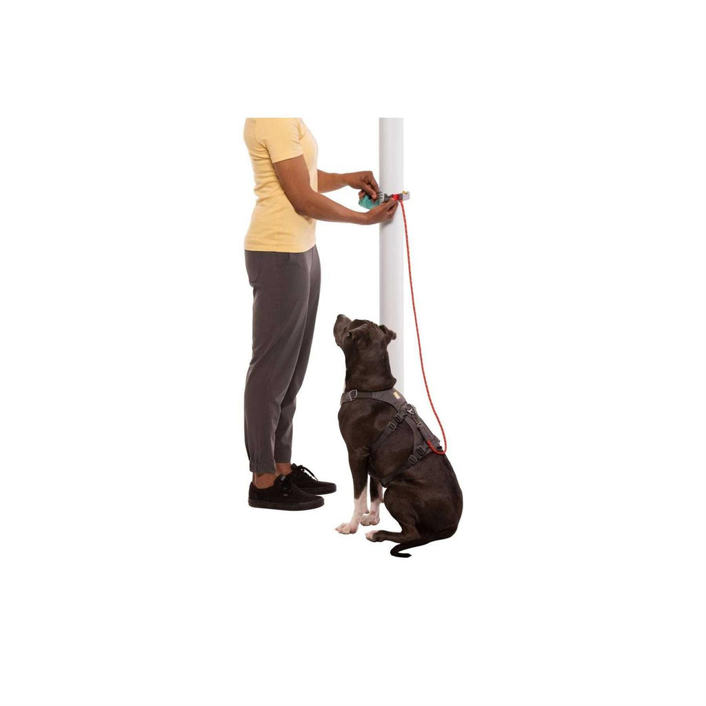 Hitch Hiker Leash O818