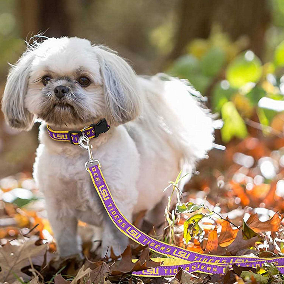 Pet Leash I645505