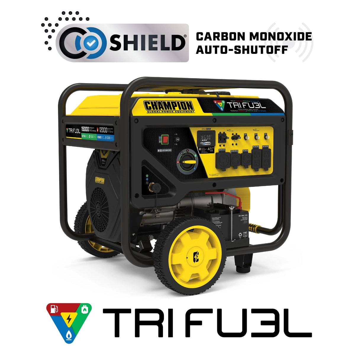 12,000-Watt Tri-Fuel Portable Generator with Electric Start E2099