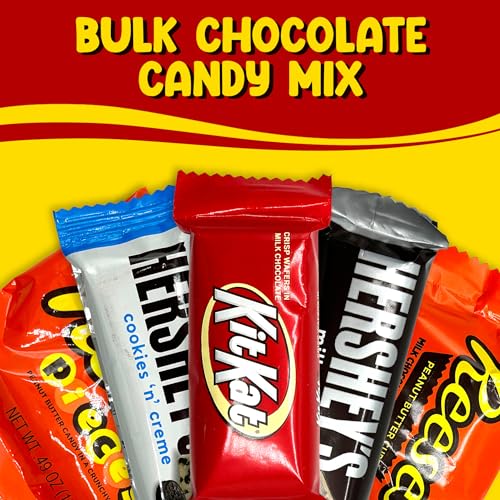 Bulk Chocolate Candy Mix Miniature Size - 5 Pounds Approx 210 pieces L164910