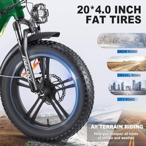 20'' Fat Tire Full Suspension Folding Electric Bike with 48V 20Ah Removable Battery V58792
