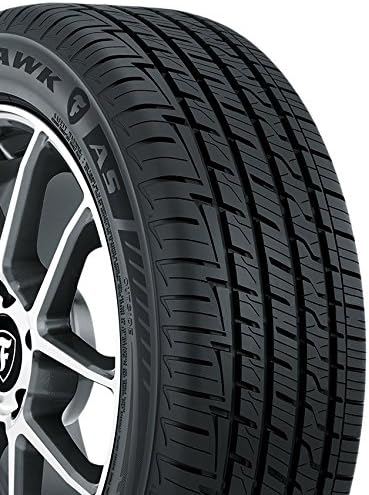 195/60R15 88 H All Season Performance Tire N5470