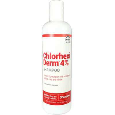 4% Chlorhexiderm Shampoo 12 Oz H615873