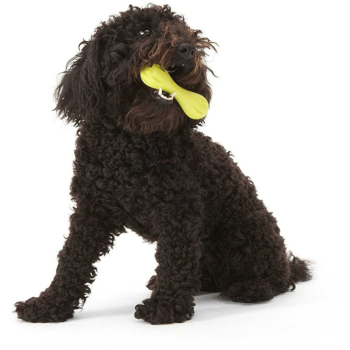 Dog Toy F455835