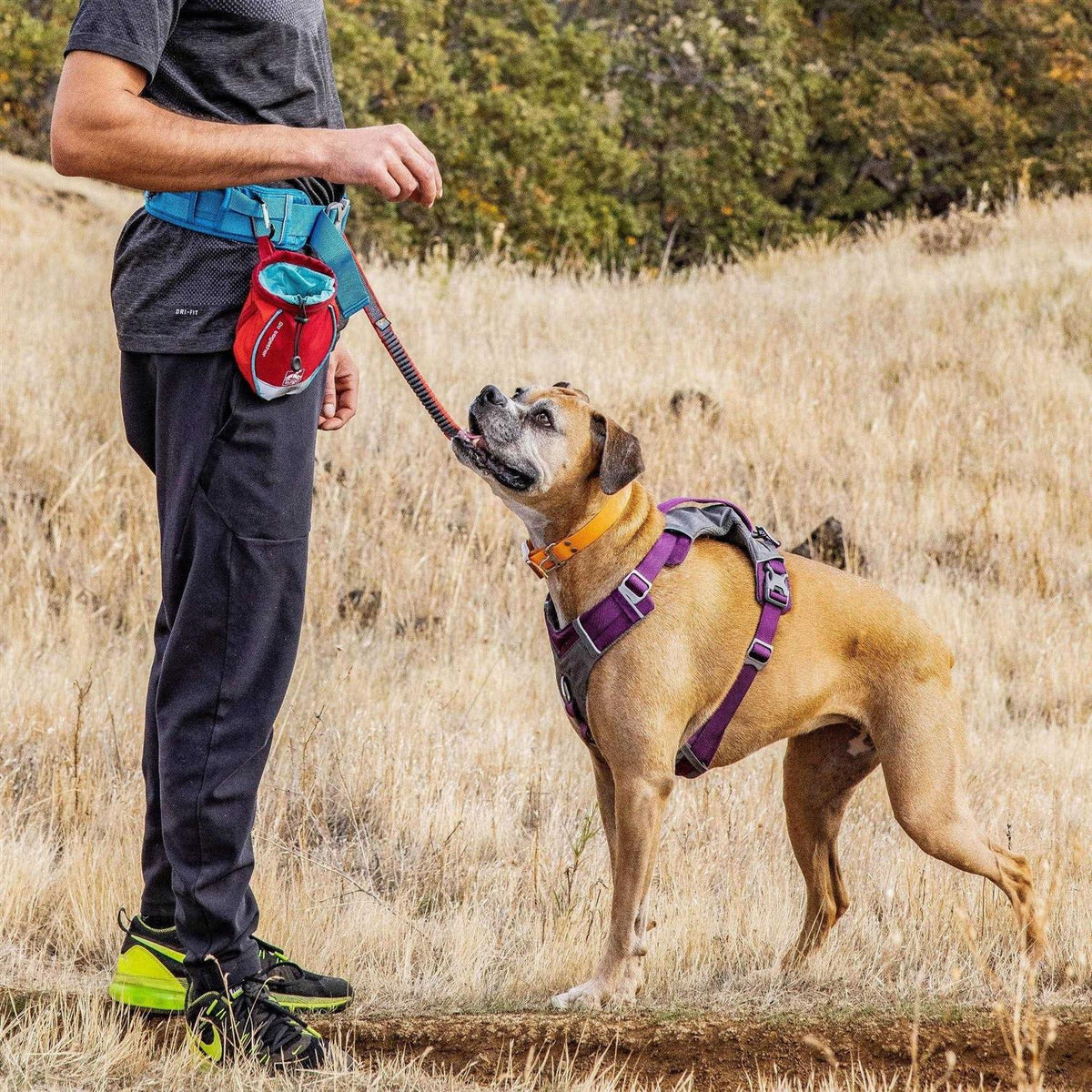 Dog Treat Bag E2350