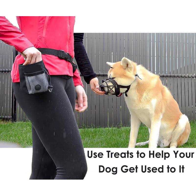 Breathable Silicone Dog Muzzle D92197