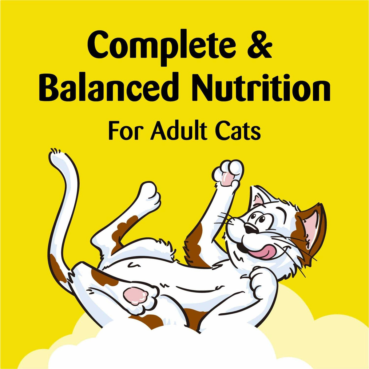 Indoor Control Cat Treats Chicken Flavor H585315