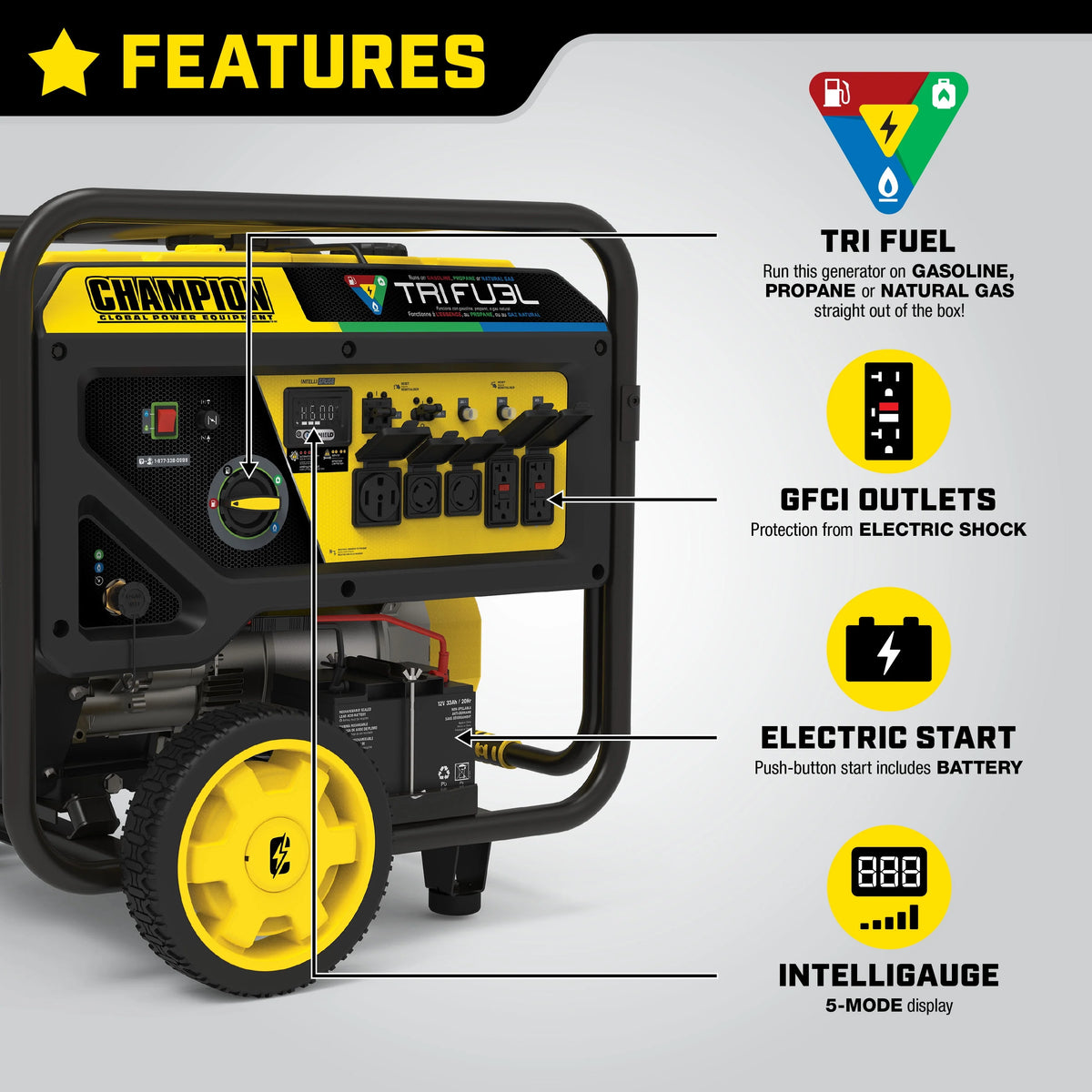 12,000-Watt Tri-Fuel Portable Generator with Electric Start E2099