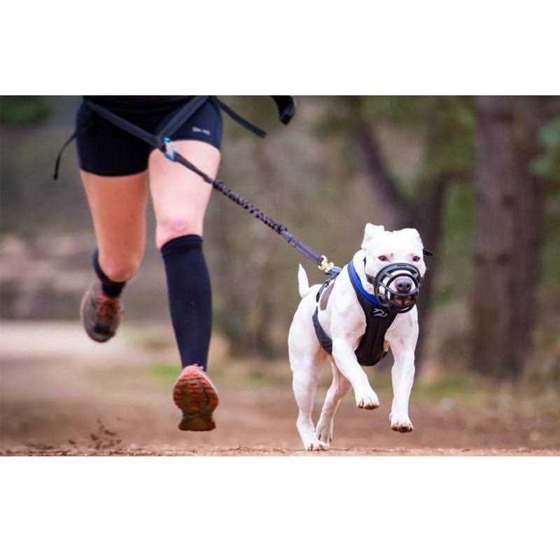 Breathable Silicone Dog Muzzle D92197