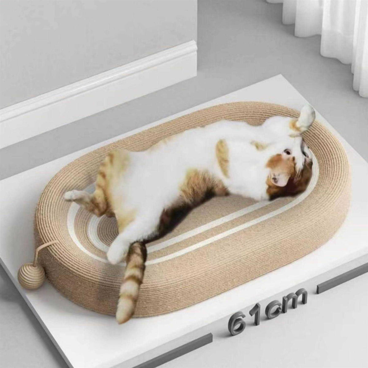 3 in 1 Cat Scratcher Bed Z9533