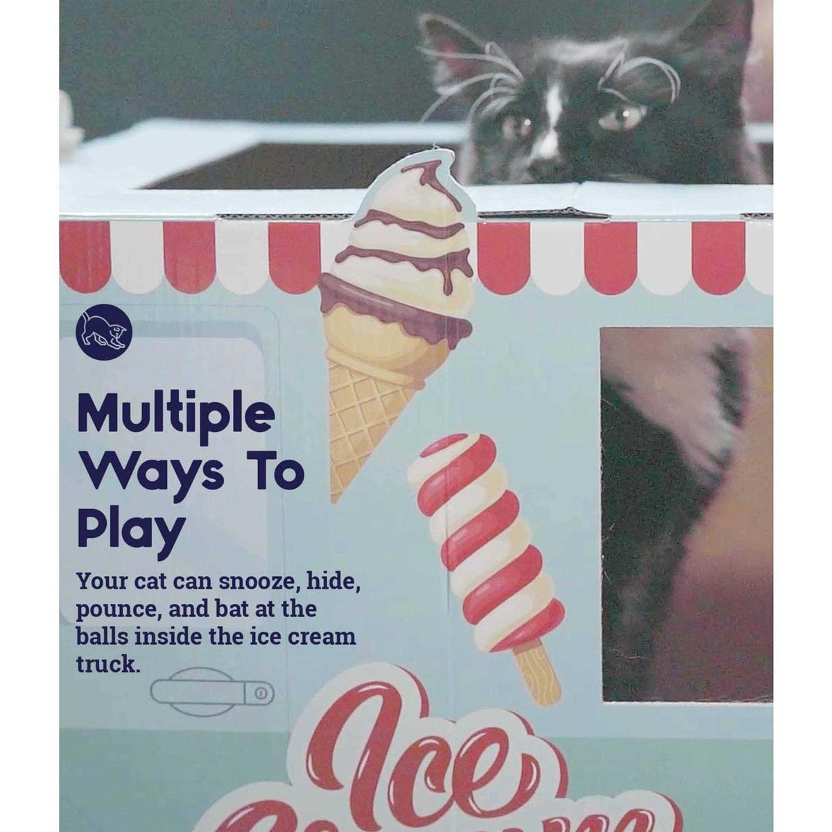Cardboard Cat Toy D9352