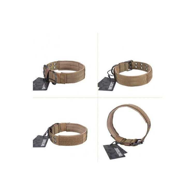 Adjustable Dog Collar with Metal D Ring Buckle L6324