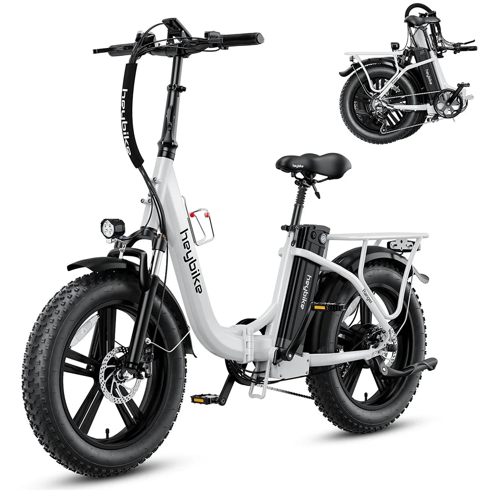 500W Motor 48V 15Ah Removable Battery 20 x 4.0 Fat Tire Folding Electric Bike L8810