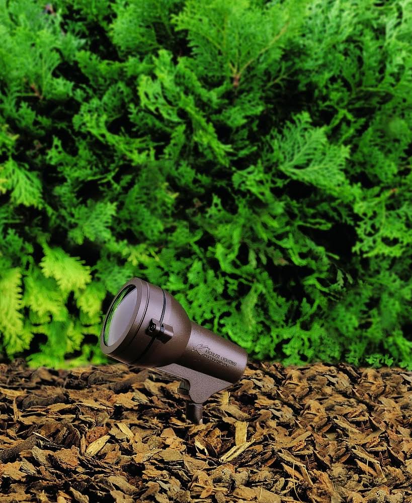 Textured Black Landscape Accent Light R290391