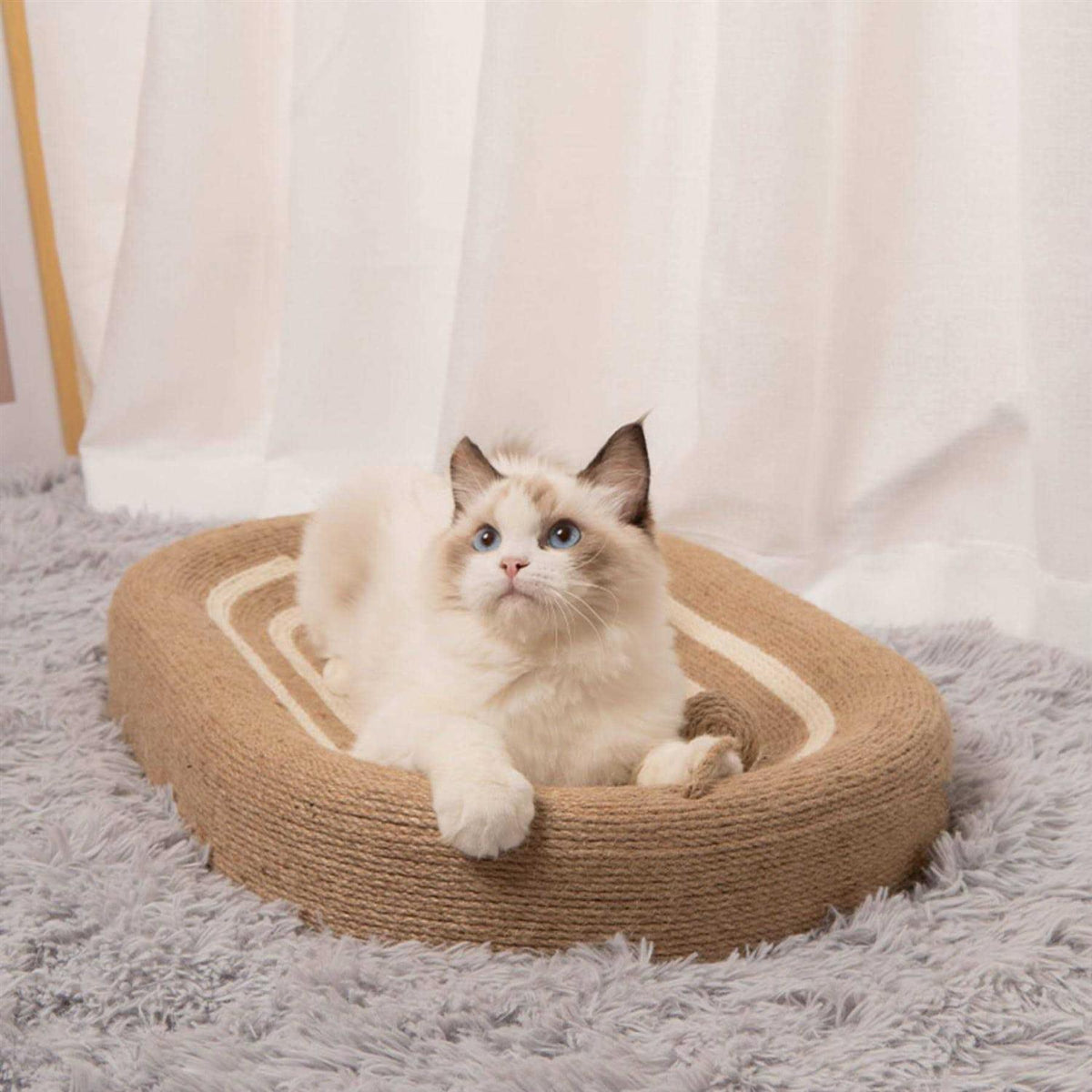 3 in 1 Cat Scratcher Bed Z9533