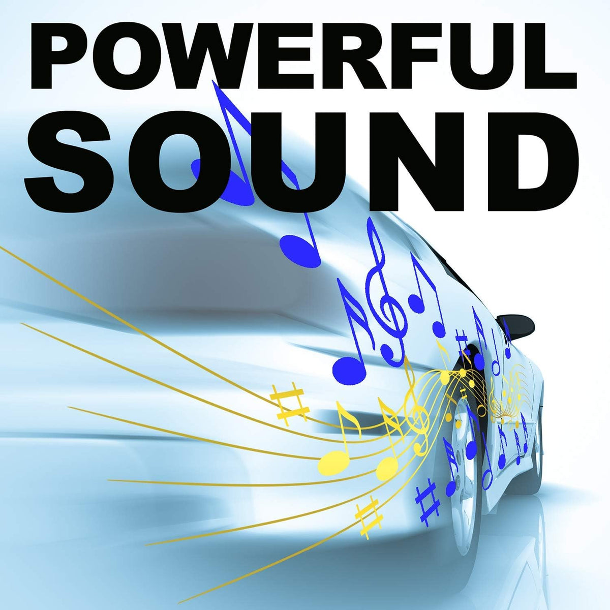 Black 8 Inch Amplified Car Subwoofer with Remote Control Y2465