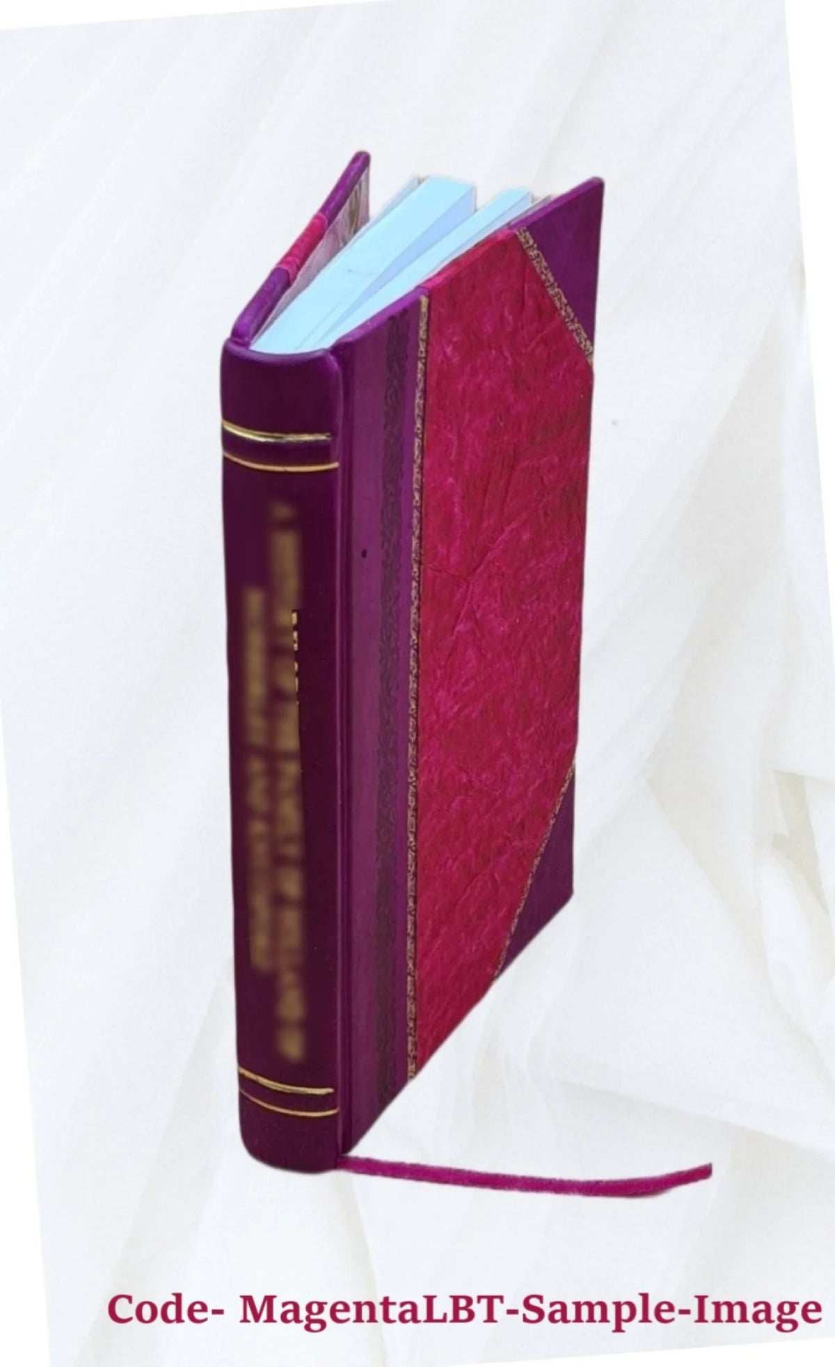 Leather Bound Book P63082
